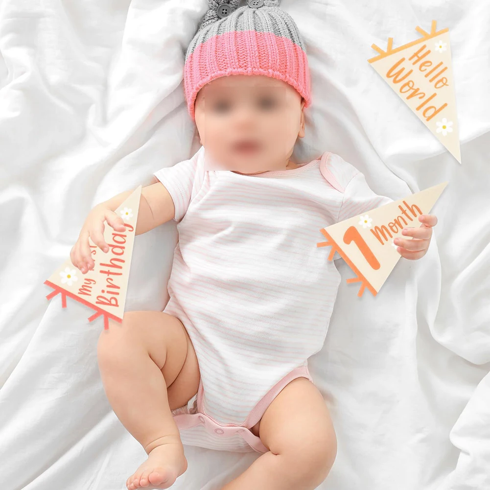 14 Pcs Baby Milestone Pennant Banner Set: Celebrate Every Month's Joy Home Crafts Supplies Home Decorations
