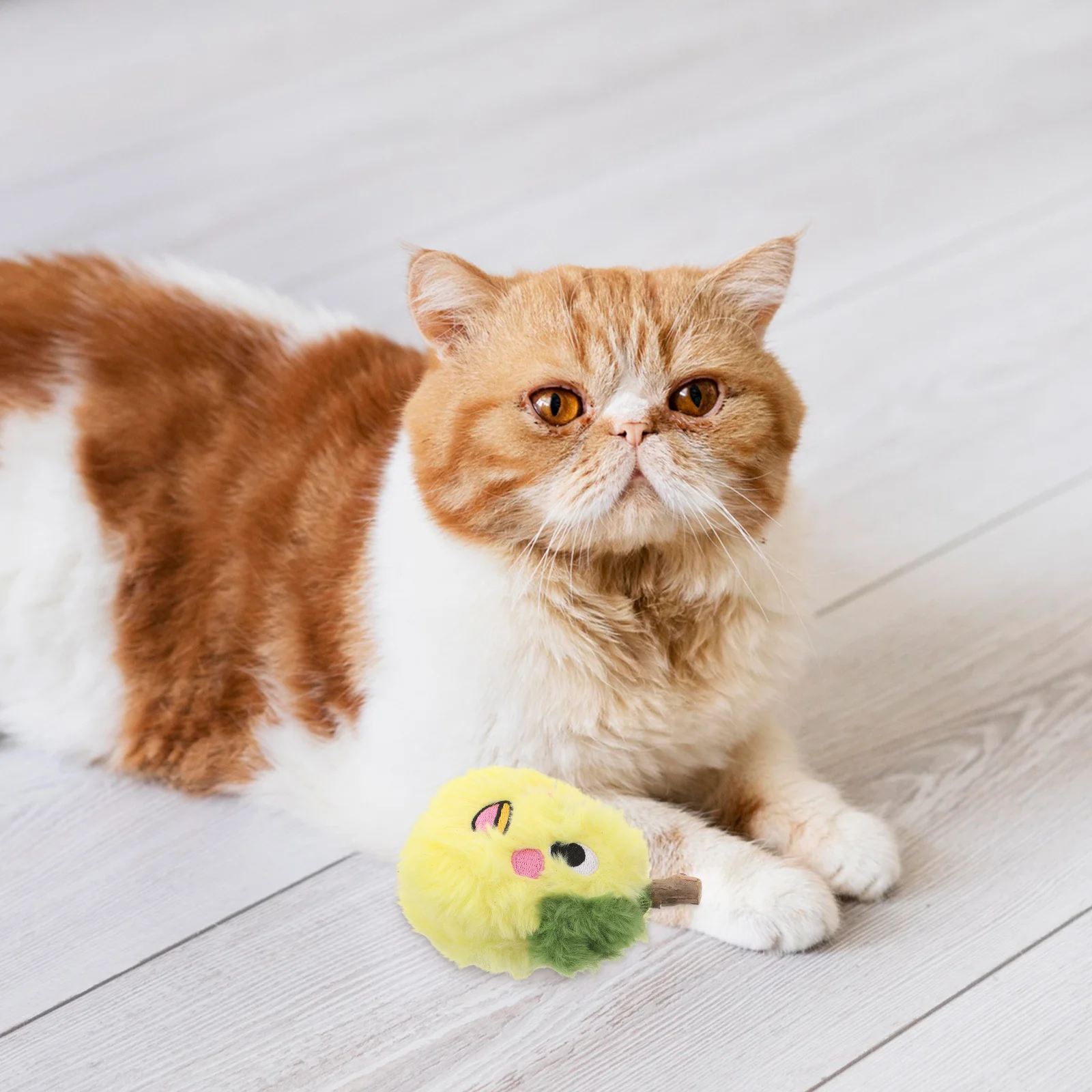 

Catnip Chew Pear Interactive Funny Pet Entertainment for Indoor Cats and Small Dogs Boredom Relief Chewing Play