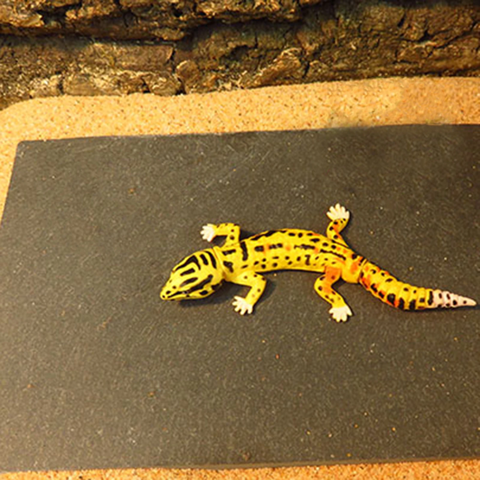 

Tortoise Feeding Plate Reptile Pet Food Dish Safe Healthy Eating Environment Turtles Lizards Geckos Snakes Decorative Bathing