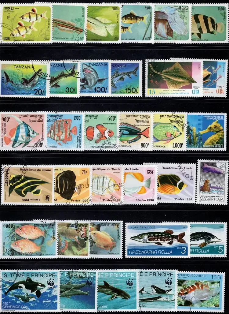 250 PCS/Lot,Topic Fish,Sea Life,Different Fish Stamps From Word,Animal Stamps,Used with Post Mark,High Quaility,Stamp Collection