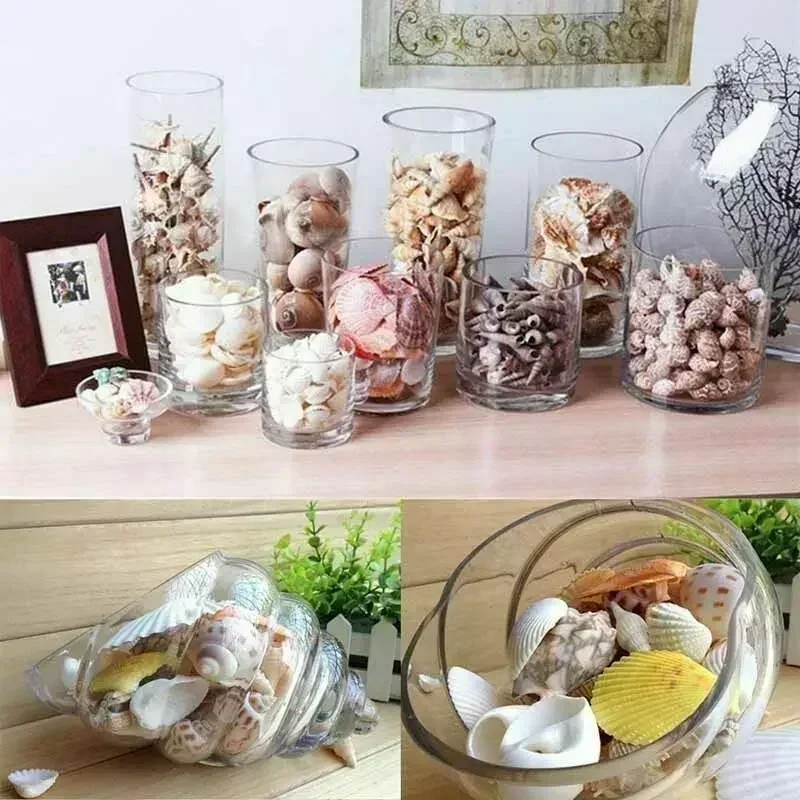 1/50/100 قطعة مزيج جرام قذائف البحر الطبيعية محارة Coquillage ديكور للشاطئ الحرفية البحرية نمط خزان الأسماك الصدف محارة الزينة