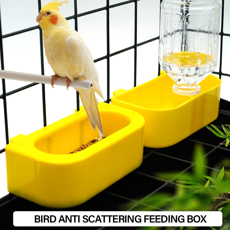 Bird Feeder Drinker Water Bottle Drinking Cups Large Capacity Automatic Water Dispenser for Quails Chicken Parrot Pigeons