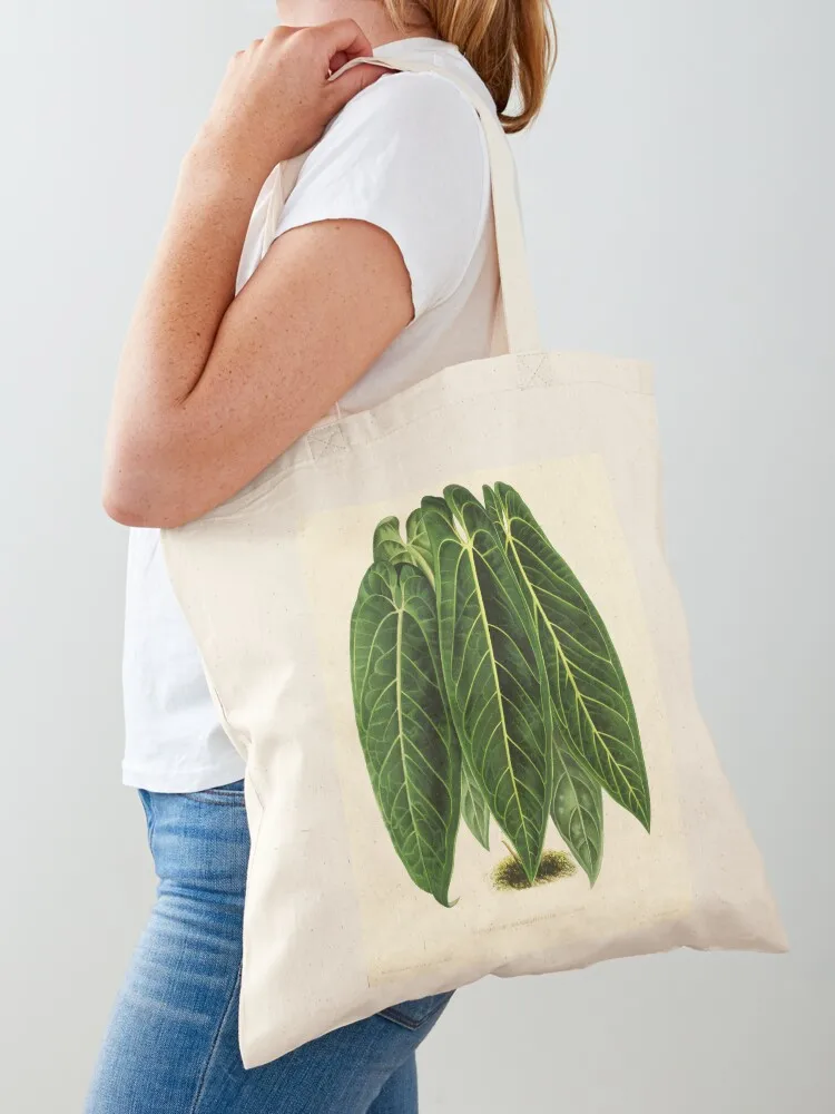 Anthurium warocqueanum - L'illustration horticole - Botanical Illustration Tote Bag shopping bags foldable custom tote bag