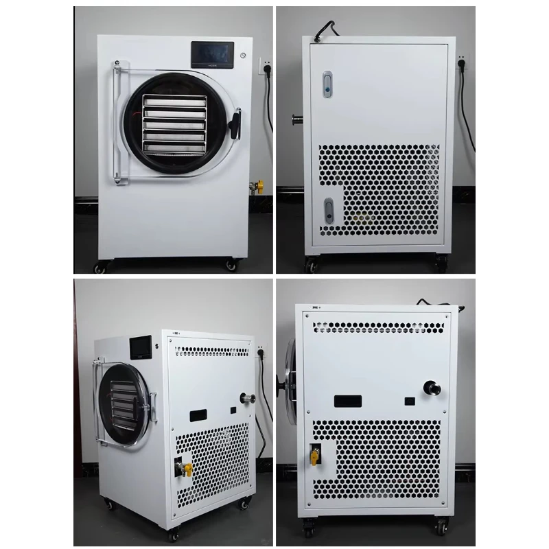 Customized Durable Freeze Dryer Heavy Duty Structure Vacuum Drying Machine Long Service Life For Industrial Commercial Use