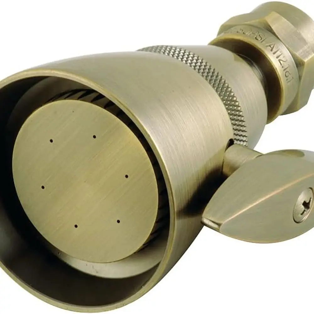 

Antique Brass Adjustable 2-1/4 Round Jet Spray Shower Head