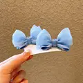 2pcs blue