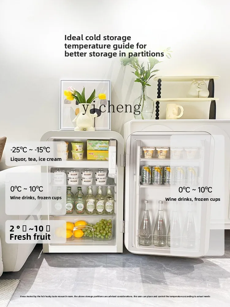 XL retro small refrigerator home living room office frozen refrigerated mini