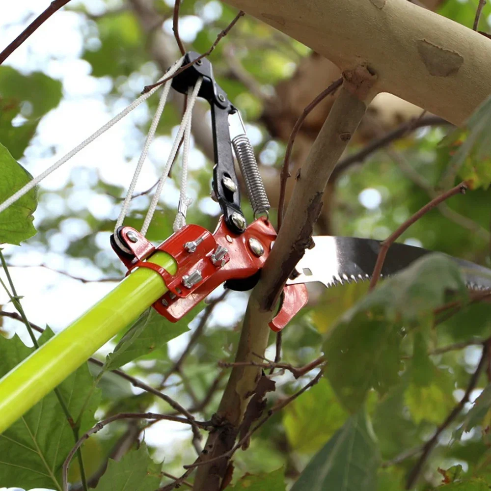 Fruit Tree Pruning Data, High-altitude Extended Scissors, Gardening Pruning Tools, Extendable, Available in Multiple Sizes