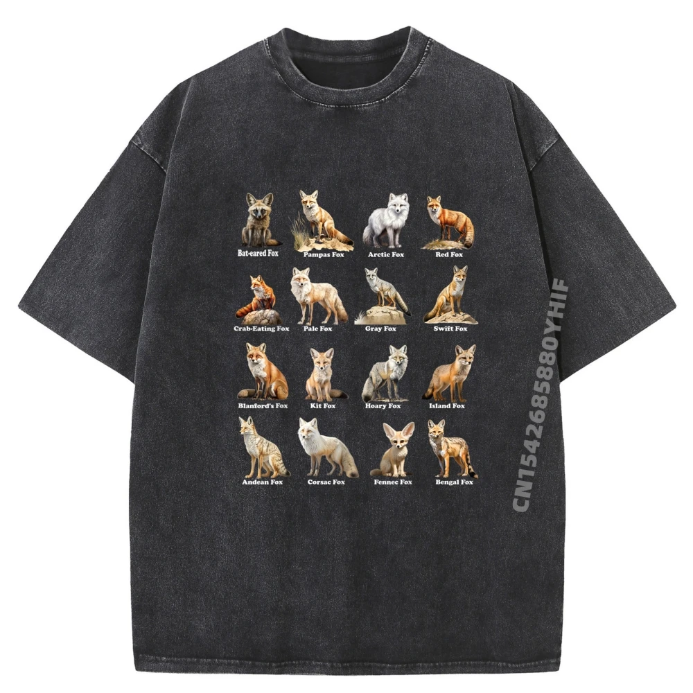 

Лисы мира, забавные лисы, животные, образовательный дизайн, уличная одежда, футболка, мужская мягкая стираная рубашка, эстетичная