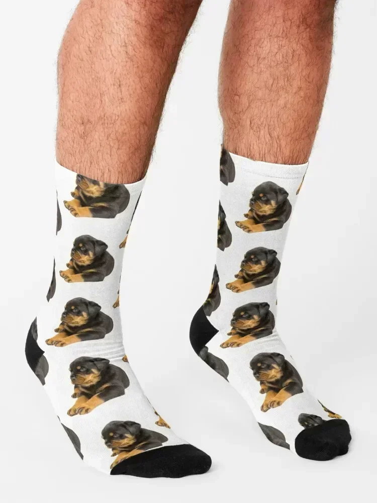 ROTTWEILER DOG TSHIRT Socks bright garter Christmas gym floral Men's Socks Women's