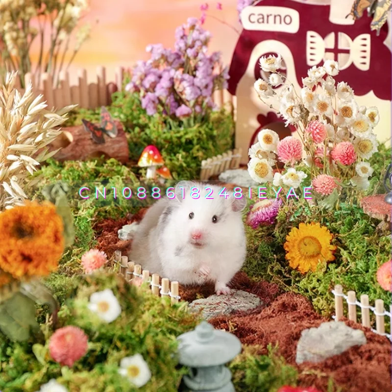 Secret Garden Series Natural  Hamster Bedding Small Animal Cage Landscaping Supplies Rat Accesorios Hamsters Padding