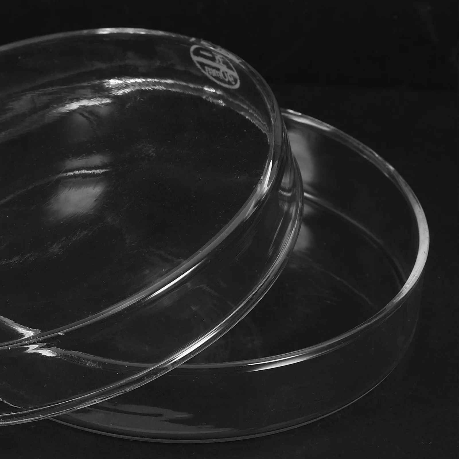 

Glass Petri Dish for Tissue Cell Culture Laboratory Use Flat Bottom Heat Resistant Smooth Surface Easy Supplies