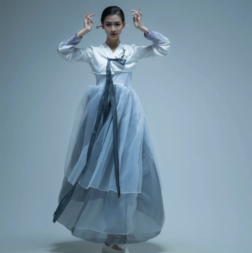 

Ele Korean Traditional Dance Costume New Sle Skirt for Women Dain Ethereal Stage Performance Practice Outfit