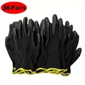 Black 36 pairs