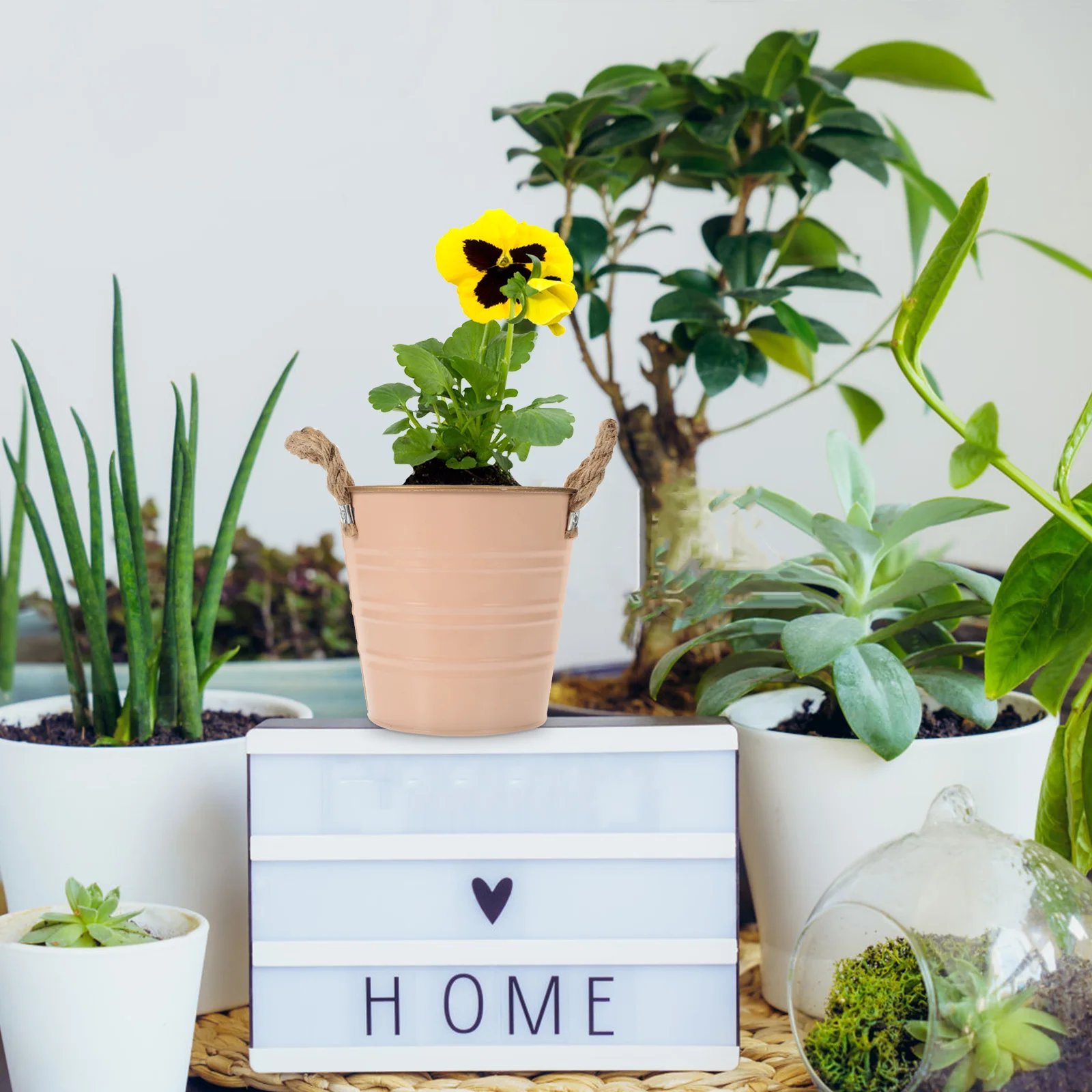 

Metal Flower Vase Iron Retro Bucket For Home Garden Decor Plant Storage Dried Flowers Succulents Desktop Planter Container