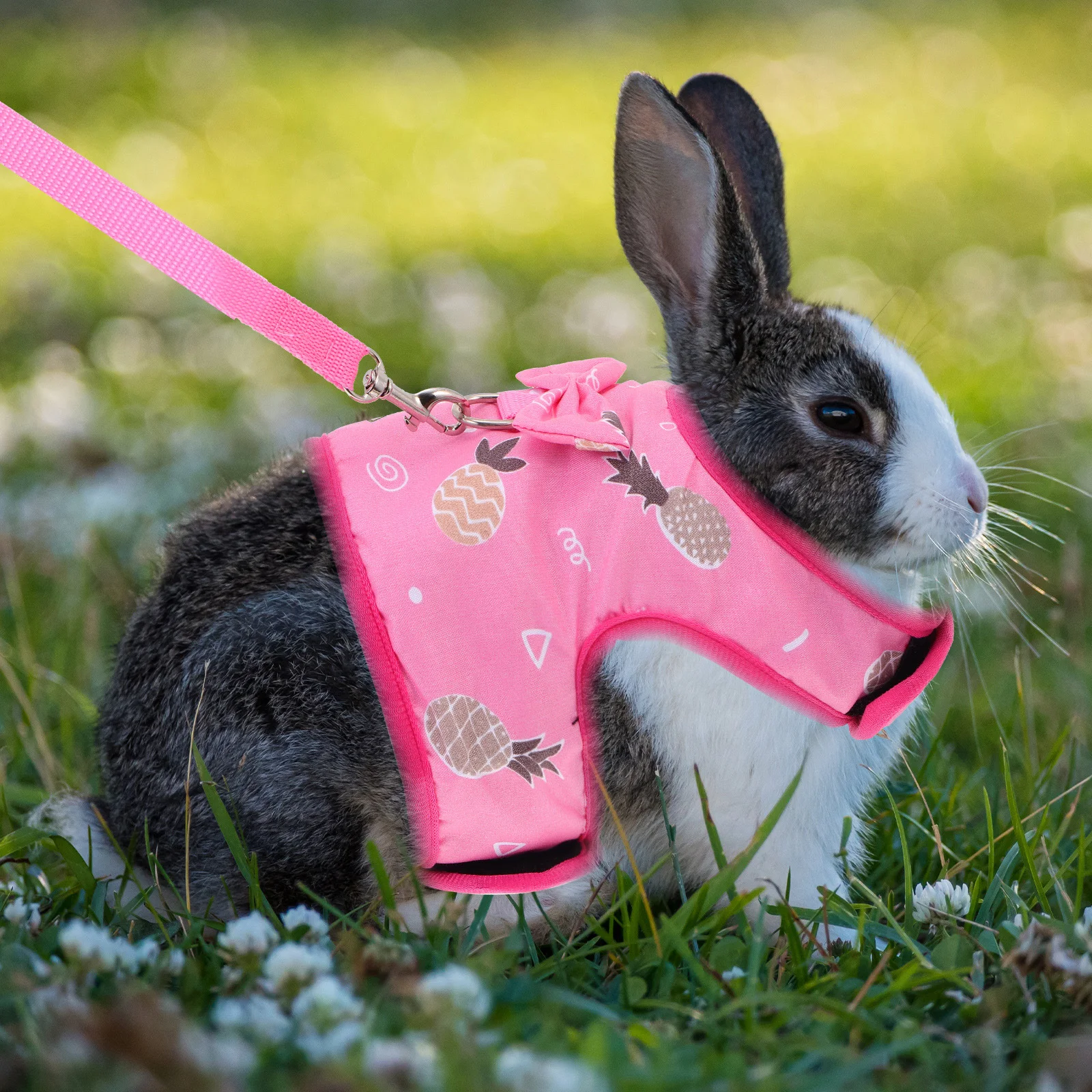 

Rabbit Harness Pet Walking Vest Outdoor Leash Suspenders Bunny Clothes Bow Hamster