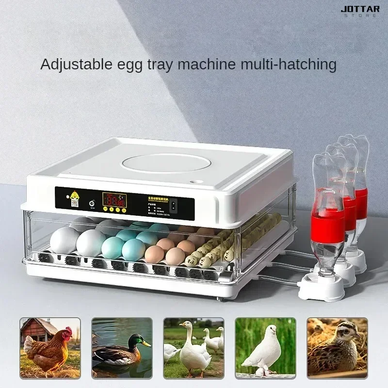 

New egg incubator for home. Automatic. Intelligent. Hatching box incubator. Small chick incubator.