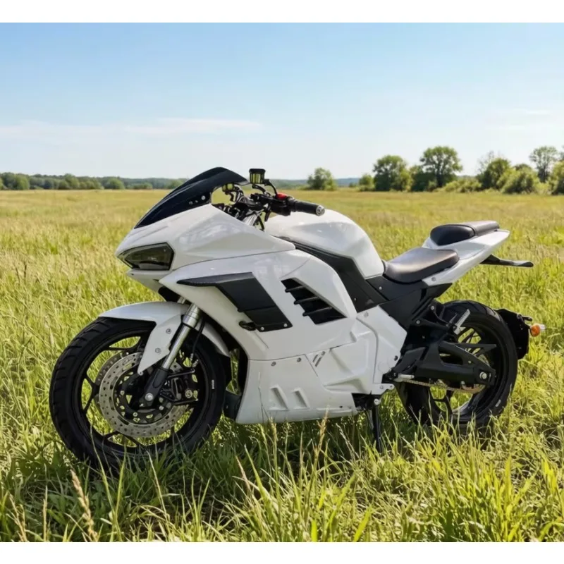 Krono Wild Manufacturer Direct Sale: Lithium Battery, High-speed Electric Motorcycle
