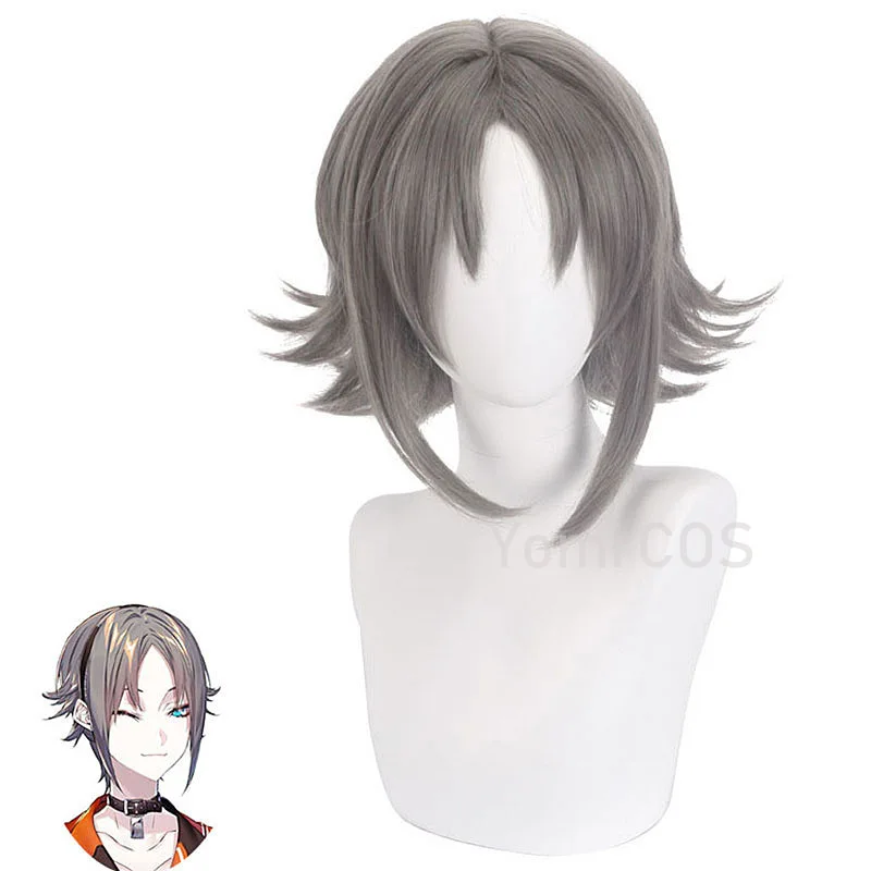 

Vtuber NIJISANJI EN Mysta Wig Virtual Idol YouTuber Short Dark Grey Cosplay Wig Hair Halloween Party Anime Wigs