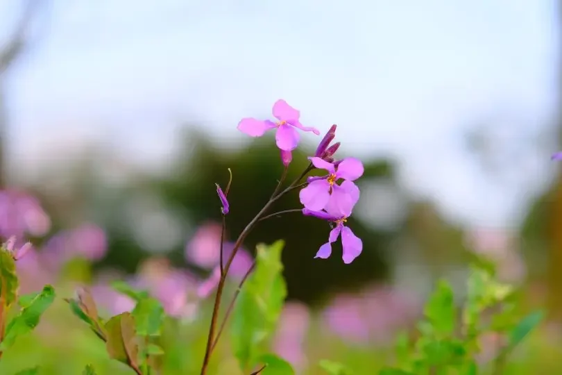 

36V battery 20ah 10s6p battery pack electric battery built-in BMS lithium-ion for Scooters, various travel vehicles