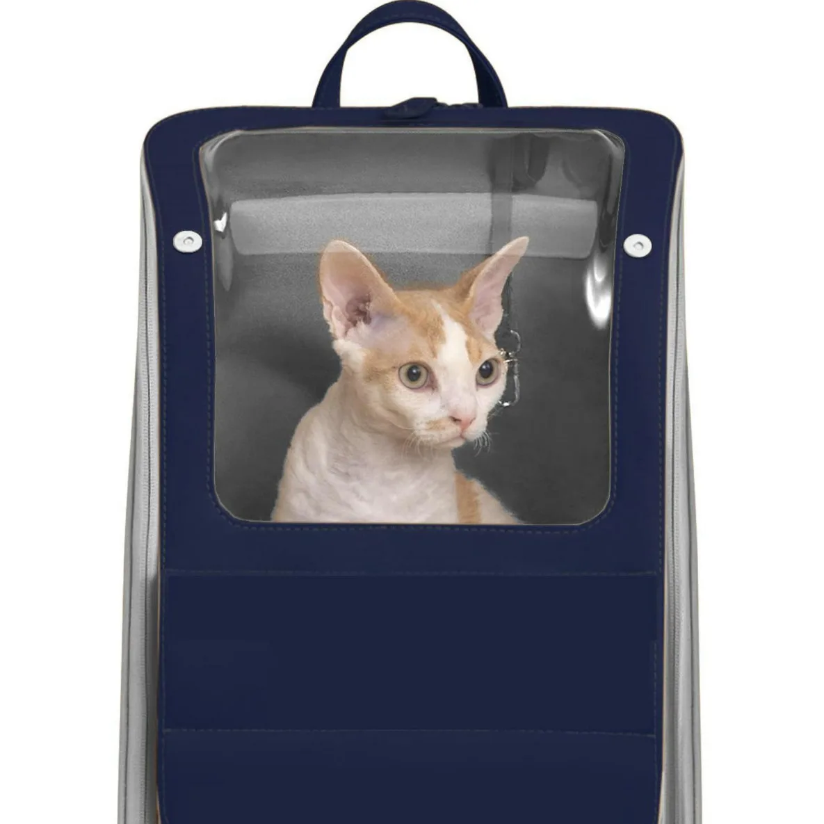 

New Design Pet Cat Bag Portable Cat Outdoor Travel Case Large Capacity Small Dog Backpack