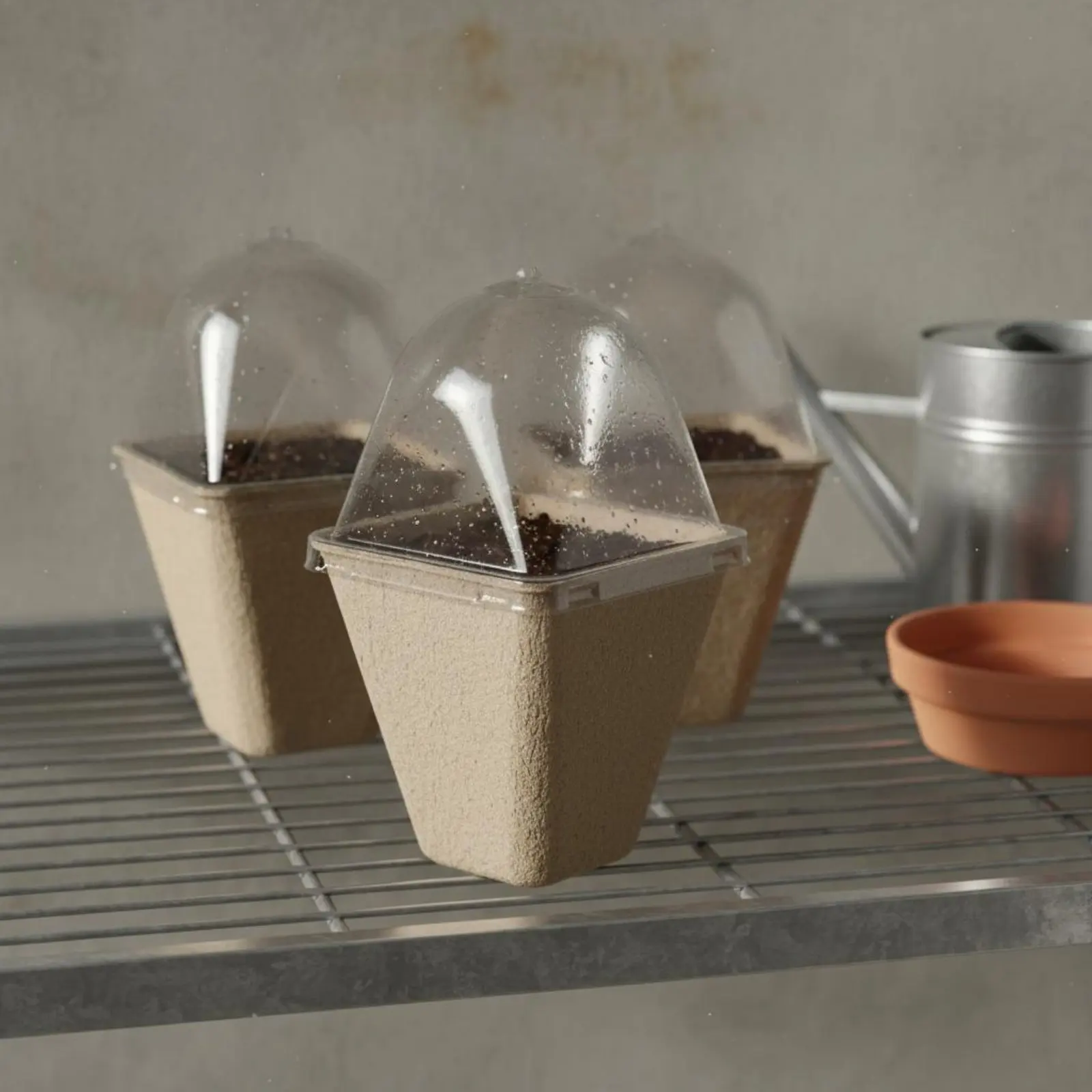 10 Pieces Biodegradable Sprout Pot Bottom Drain Hole Biodegradable Sprout Pots Pulp Nursery Pots with Lids for Greenhouse