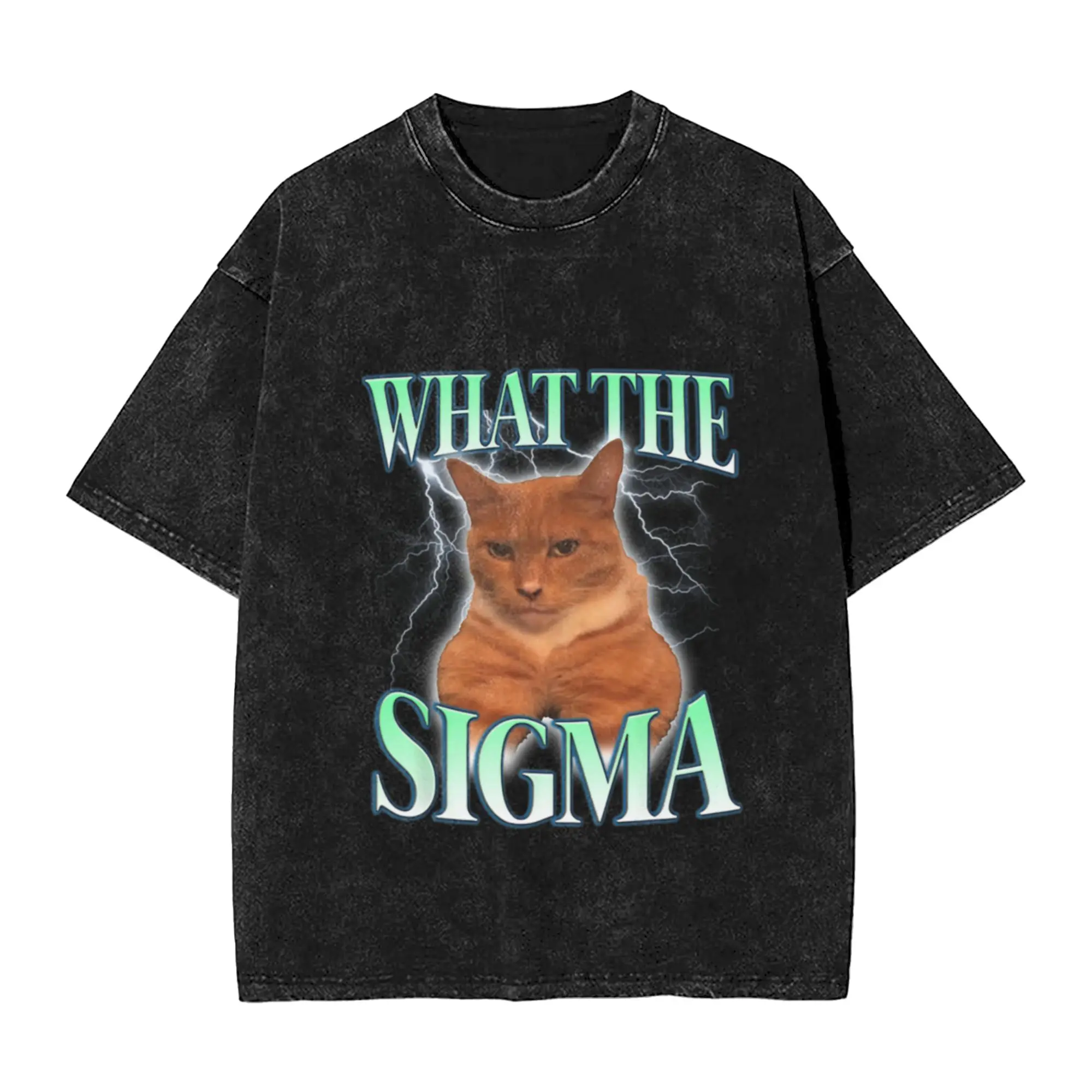 What The Sigma For Cat Lovers  Funny Cat Meme Gift Unique Cool A Washed T Shirt Men's Women's Oversized Cotton Tees Tops