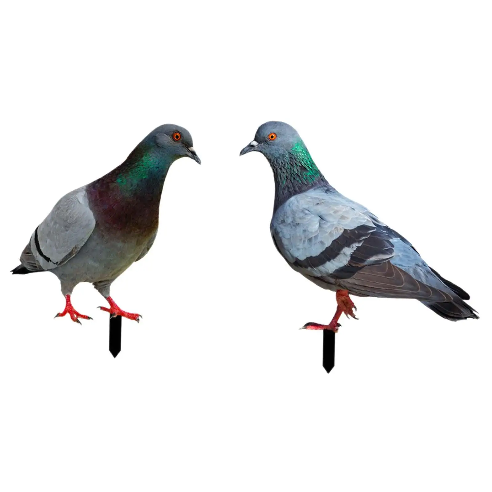 

2Pcs Pigeon Statues Garden Stakes Animal Sculptures for Pathway Courtyard