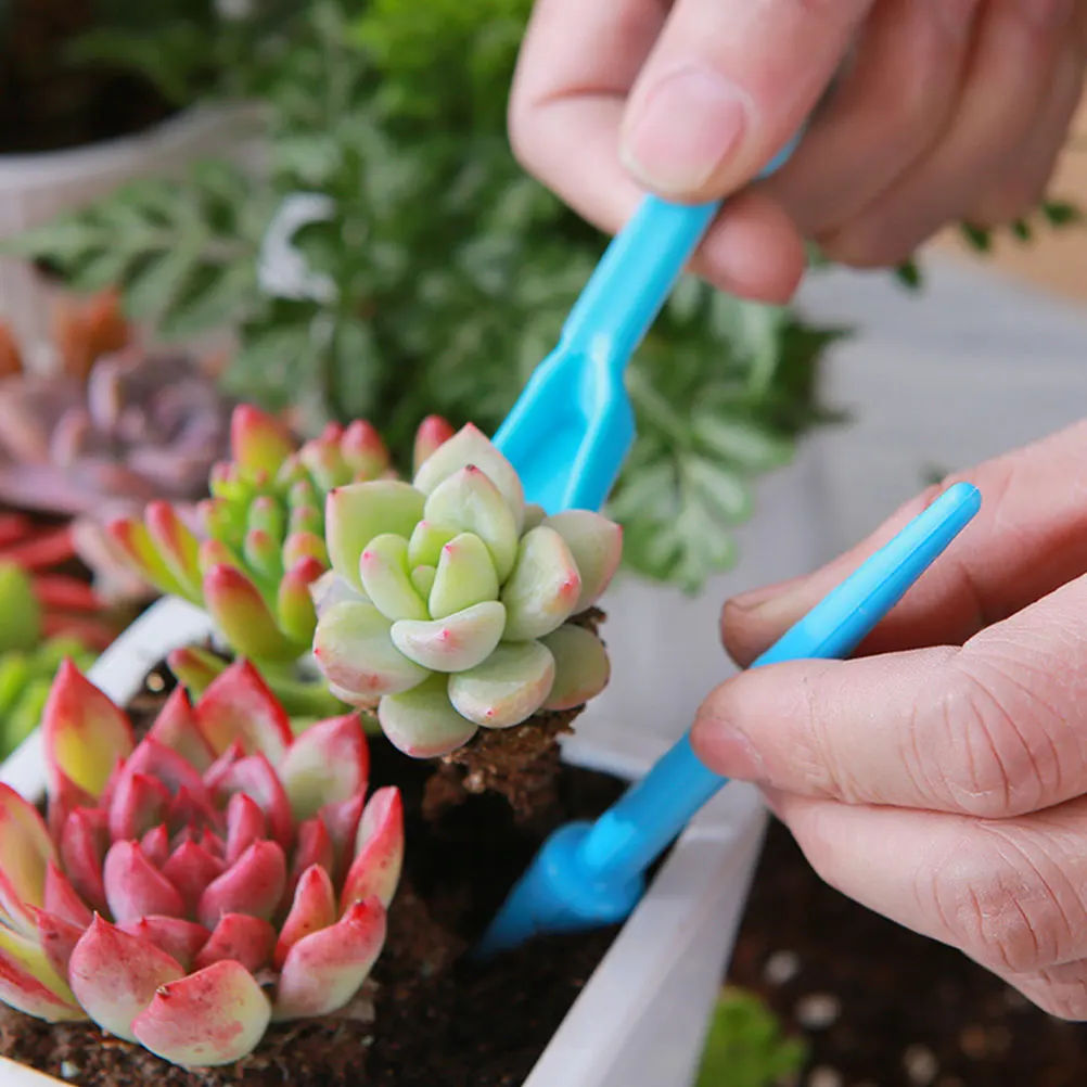 

1 set Garden Tools Set Succulent Bonsai Planting Soil Scoop Transplant Tool Cleaning Brush Lightweight Shovel Spade Hole Puncher