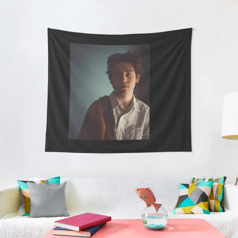 

Ethan Cutkosky Tapestry Bedroom Decor Aesthetic Decorative Wall Murals Room Decor Tapestry