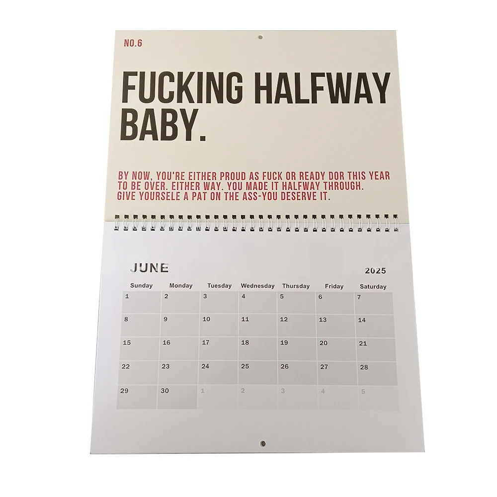 Daily Motivational Calendar 2025 Daily Triumphs Calendar for Wall Funny Hanging Inspirational Wall Calendar Note Pads