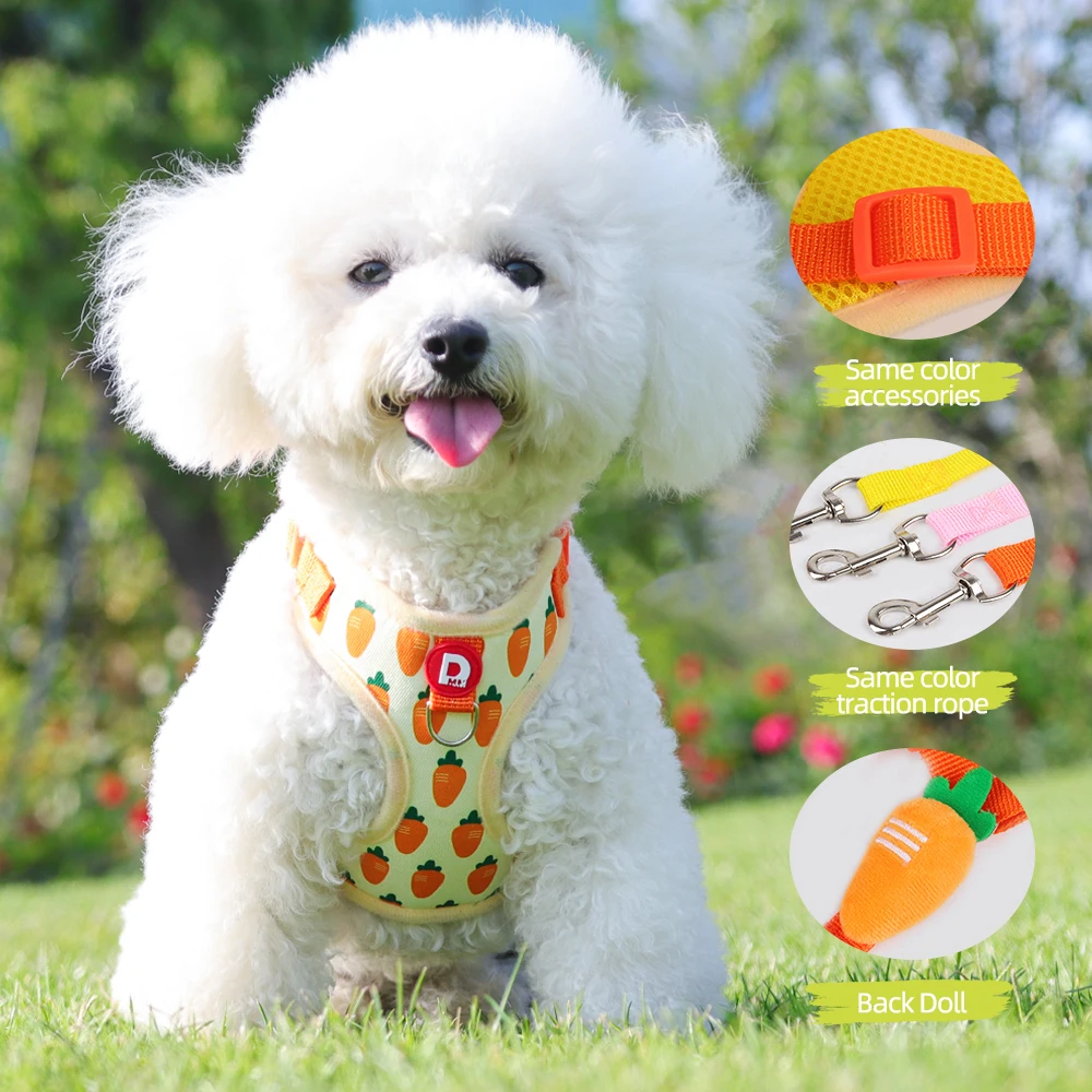arnes-para-caes-sem-puxar-para-racas-pequenas-–-arnes-para-animais-de-estimacao-ajustavel-e-respiravel-com-trela-confortavel-para-caes-bichon