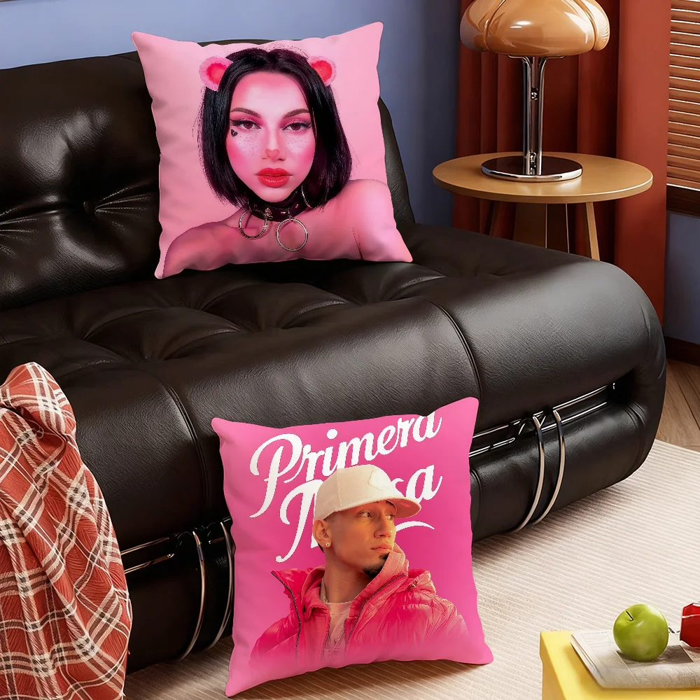 Singer Omar C-Courtz Pink cushion cover Soft Smooth Hidden Zipper Washable Decorative Couch Bedroom Office Housewarming Gift
