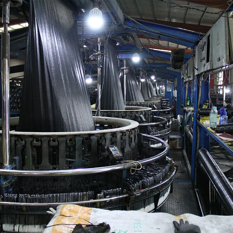 Agricoltura Anti UV pp Tessuto Geotextile Tappetino per il controllo delle erbacce Foglio di plastica in polietilene PE Doppio rivestimento Tela impermeabile