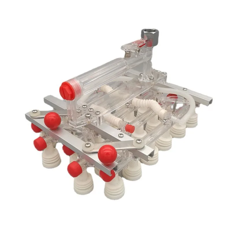 Encoder sottovuoto semiautomatico per estrattore di uova da 30 pezzi V30A