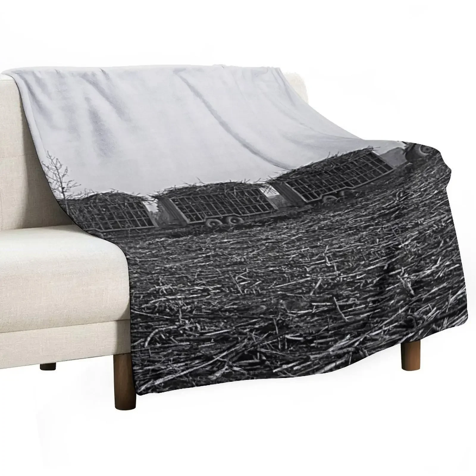 Sugar Cane Harvest, Harvested Field, Plantation, Panorama, Africa Throw Blanket for babies Sleeping Bag wednesday Blankets