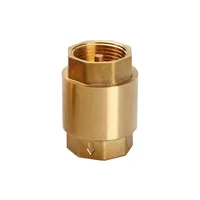 1pcs Brass Check Valve Thread In-Line Spring for Water Control Check Valve Water Pump Valve DN15 DN20 DN25 DN32 DN40 DN50