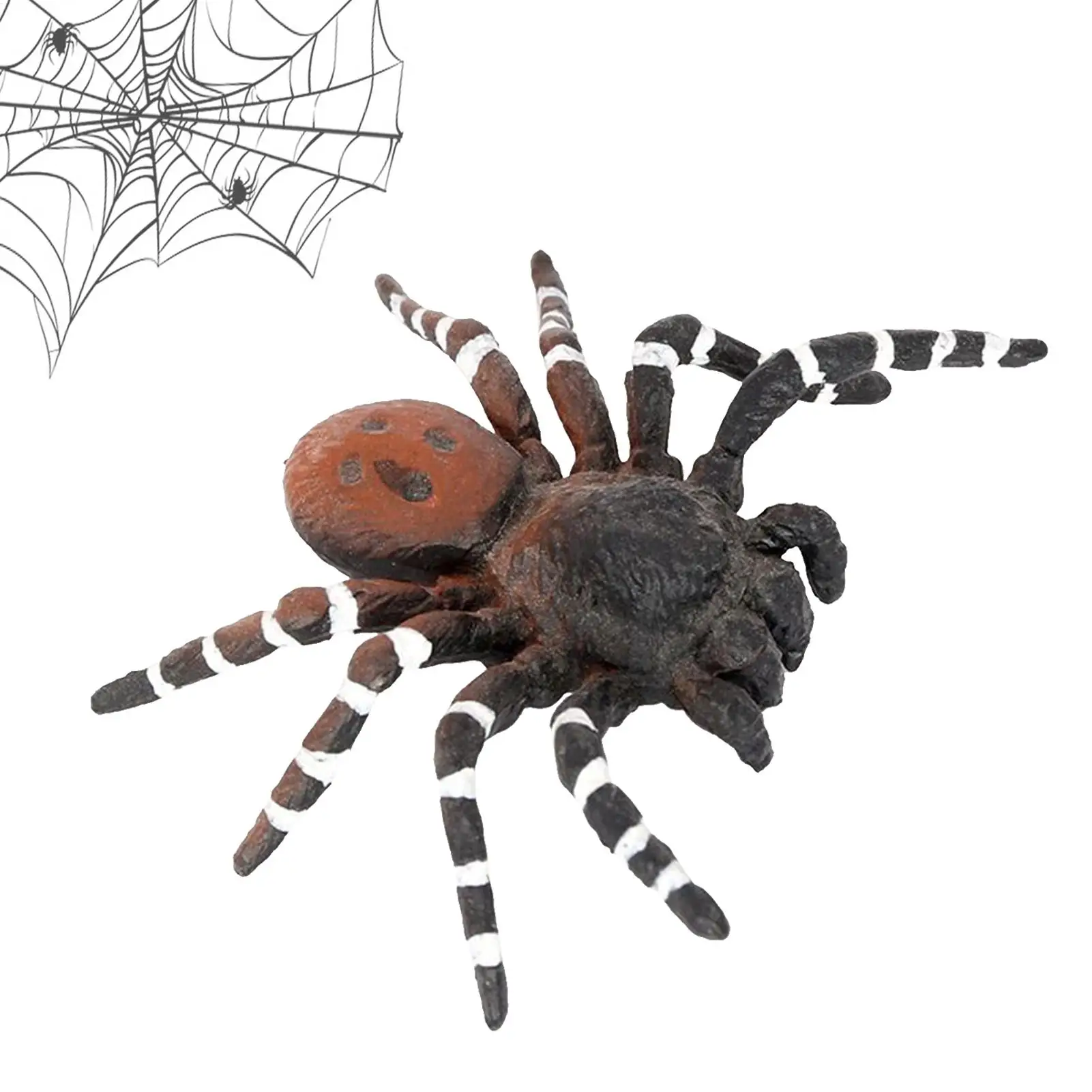 Halloween realistic Spider decoration Simulated Spider ornament animal model science education ornament Halloween gift for kids