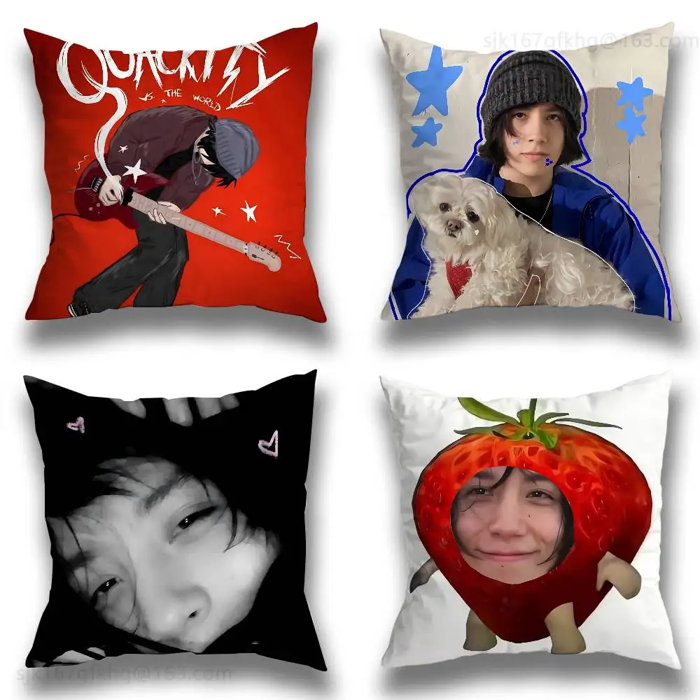 

Quackity My Beloved Pillow Case Anti-dustmite Pillowcase Invisible zipper silky short plush Sofa cushion cover