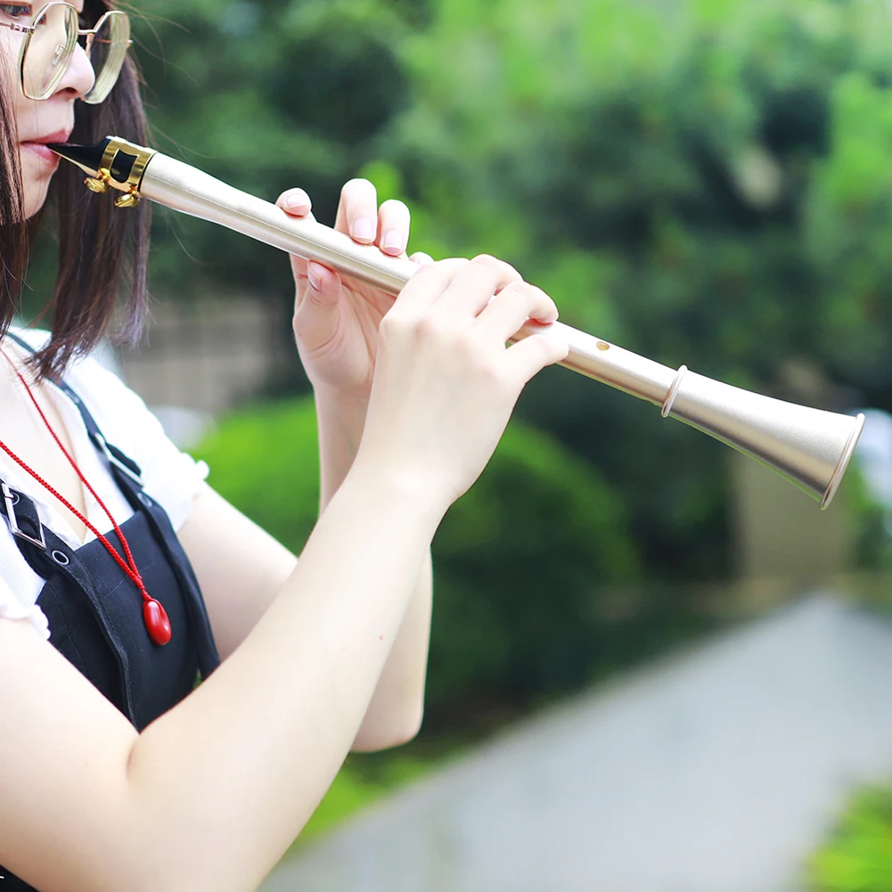 

Портативный компактный кларнет-саксофон из АБС-пластика, мини-карманный саксофон-кларнет, простой в освоении музыкальный инструмент для начинающих, для практики.