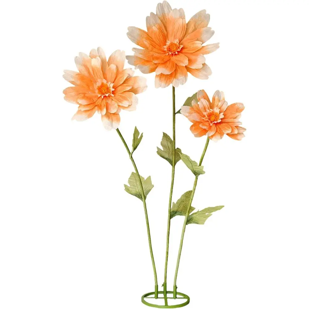 5.6 T Giant Daisy L…