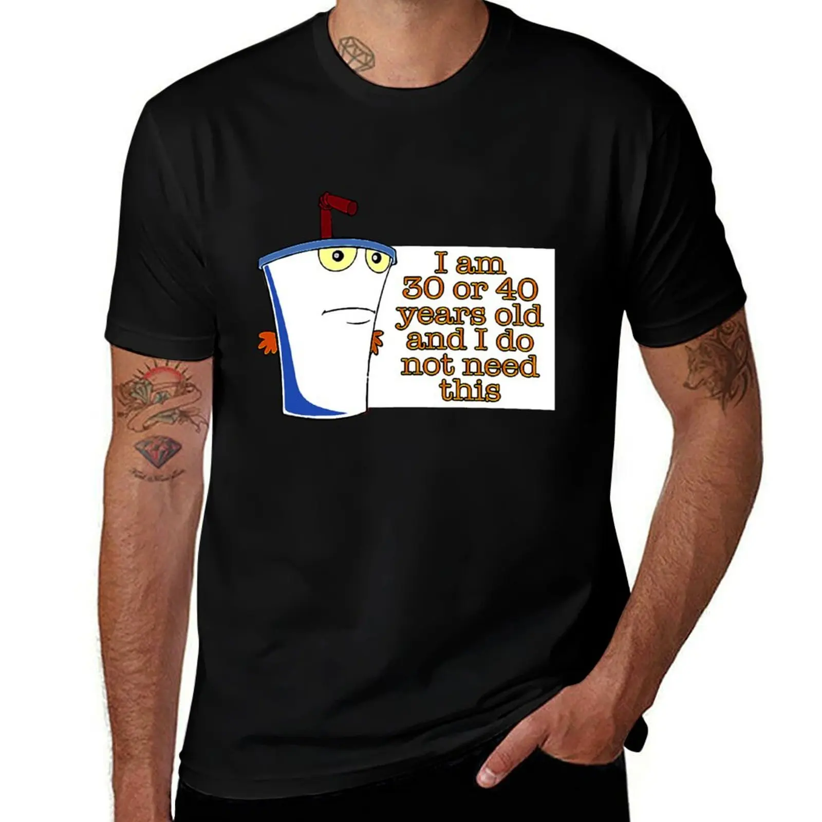 

30 or 40 T-Shirt plain Blouse T-shirts oversize mens graphic t-shirts big and tall