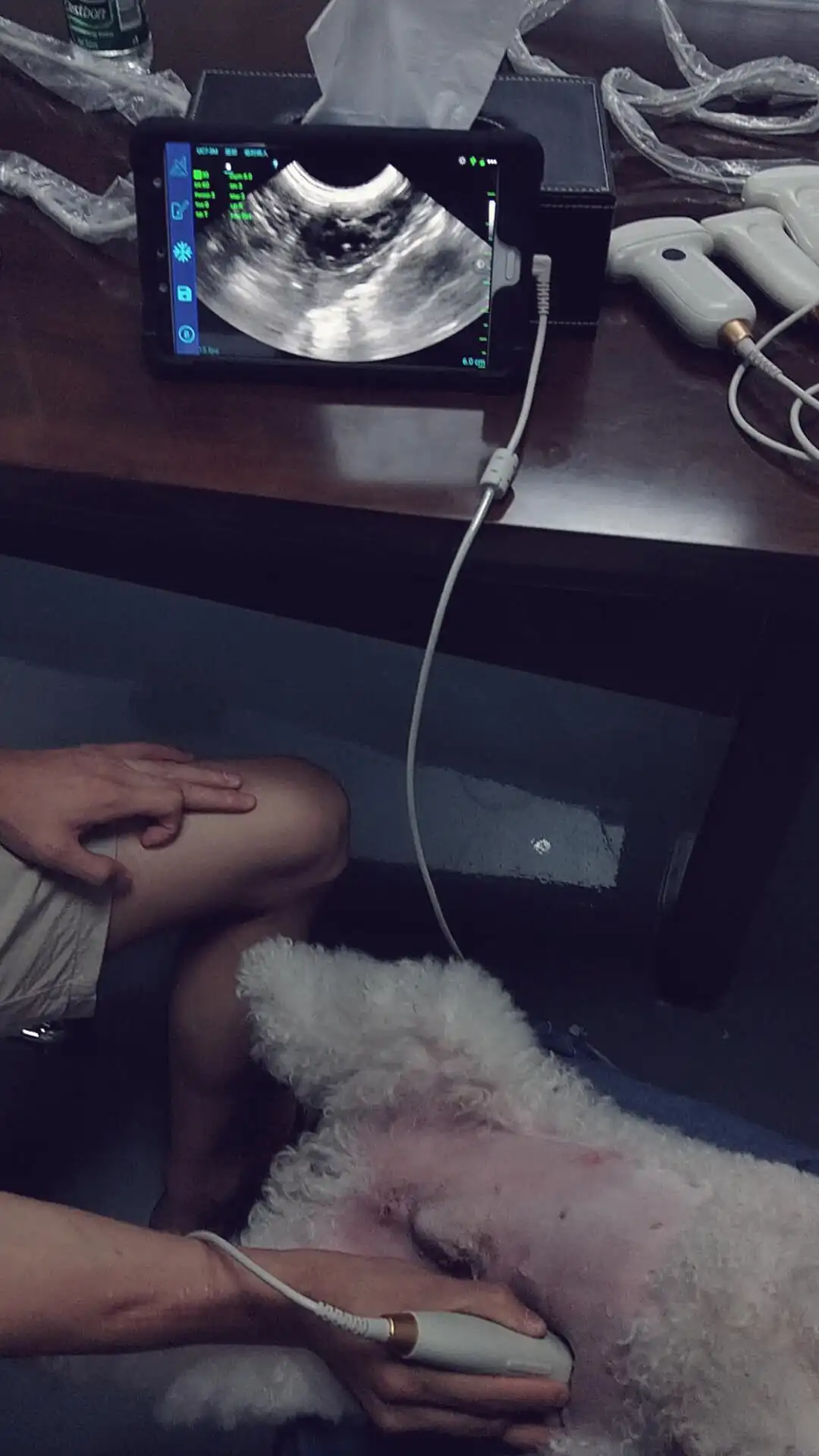 البيطرية الحيوان المسح الضوئي الموجات فوق الصوتية الحمل الماسح الضوئي الماعز/الأغنام الماسح الضوئي خنزير الماسح الضوئي الخنزير آلة الموجات فوق الصوتية