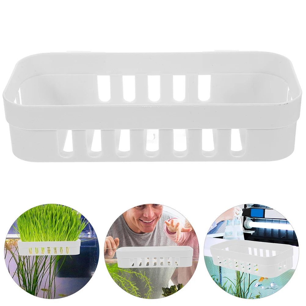 

2 Pcs Water Plant Stand Plants Betta Fish Tank Decor Aquarium Planting Cup Green Dill