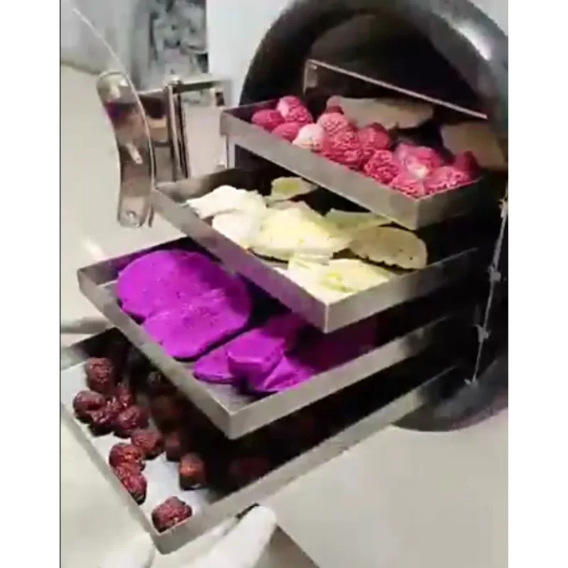 Customized Compact Freeze Dryer for Fruits Vegetables and Herbs with Touch Screen Preset Programs and Auto Shut Off