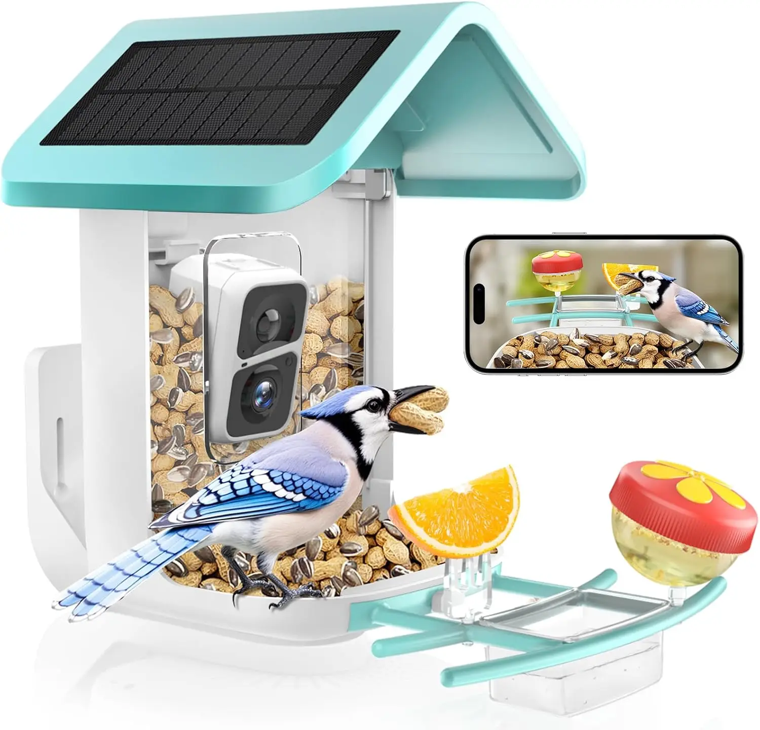 Bird Feeder with Camera: Solar Powered Smart Bird Camera Feeder 2K Live Feed for Backyard - AI Identify Auto Capture Bird Videos