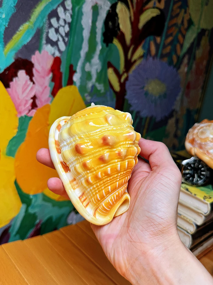 

1pc Natural Yellow Rare Thousand-handed Frog Snail Shell - Fish Tank Landscaping Decor, Perfect for Aquarium,Desktop Ornament
