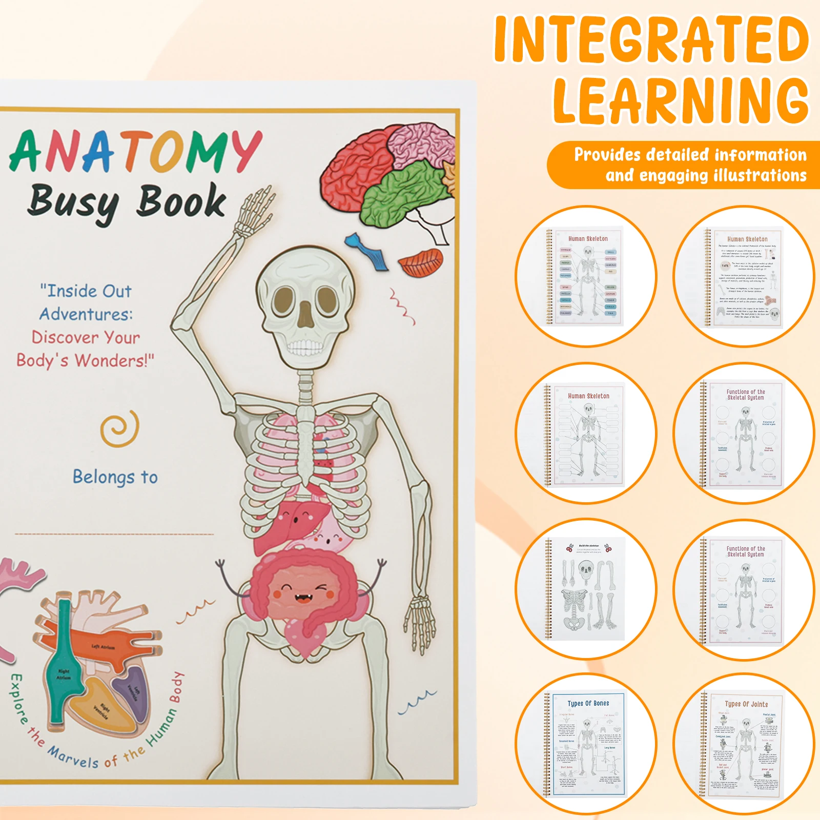 Human Anatomy Quiet Book Human Organ Match Quiet Book Preschool Interactive Anatomy Quiet Book for Kids Educational Multipurpose