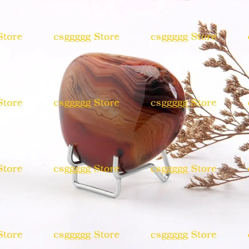 

9HJK Gemstone-Mineral Home-Decor Minerals окаменелости окаменелости рок-геод-дисплей стенд