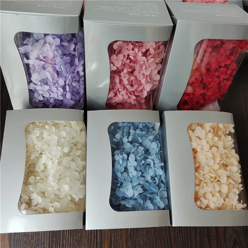 #37 Trending Dried Flowers Right Now